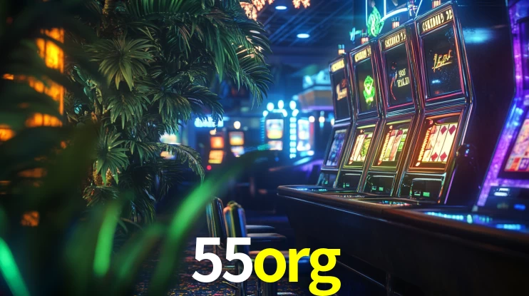 55org App Interface